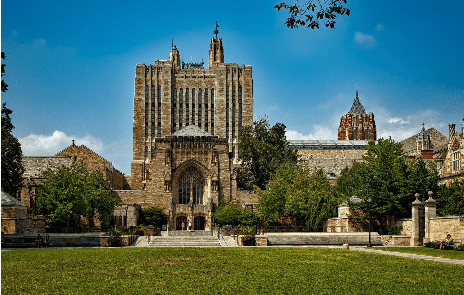 university university
